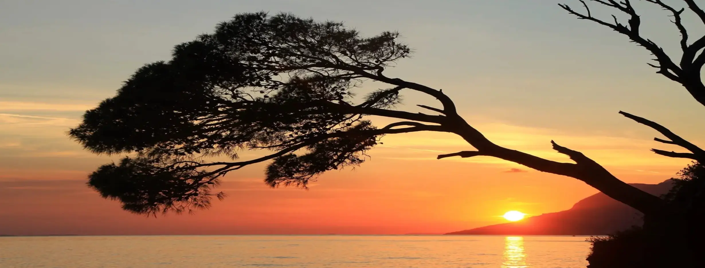 Image for Coastal Beauty